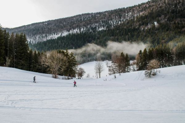 Que faire dans les vosges en hiver : neige, nature et détente
