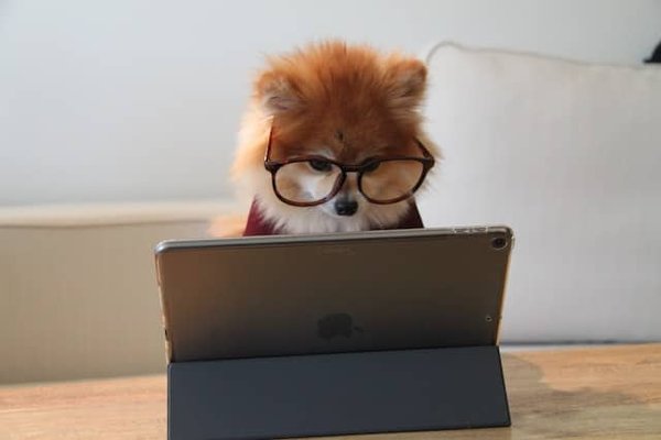 Les meilleurs sites pour trouver des bons plans de location de vacances en France